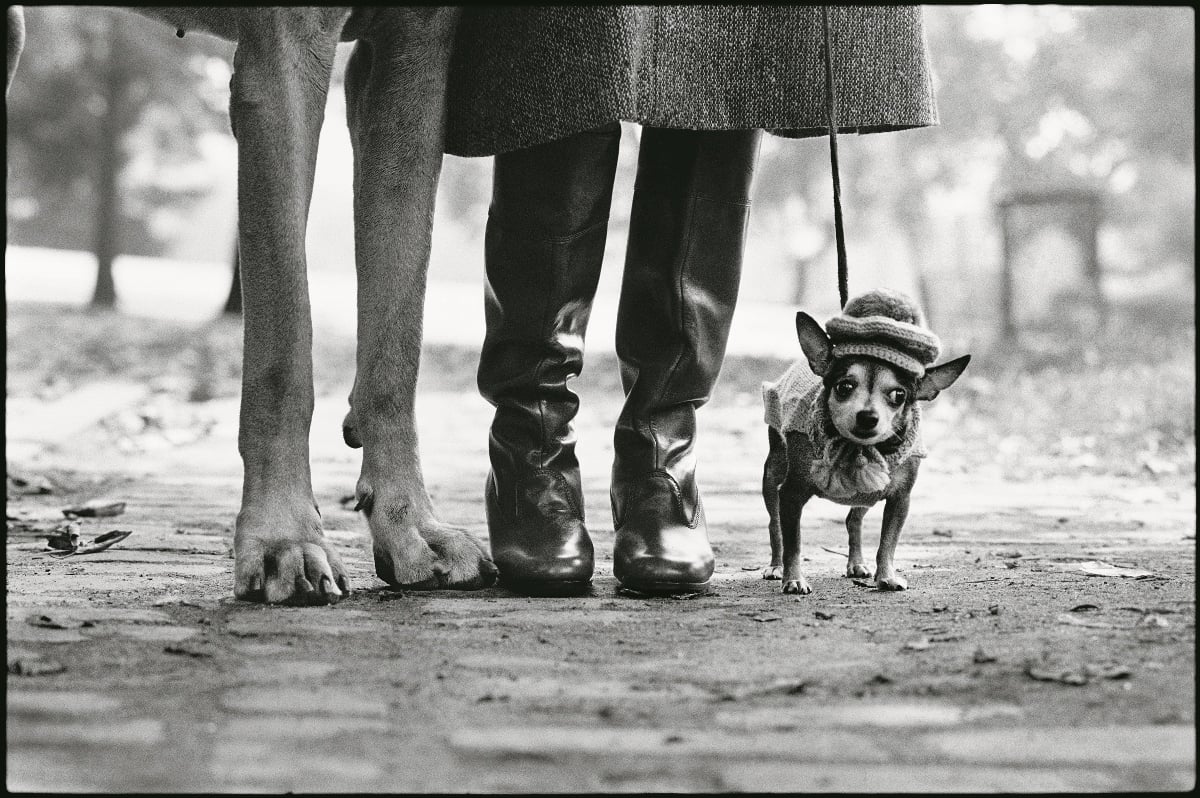 Elliott Erwitt - Family